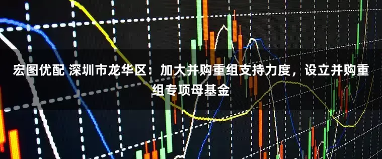宏图优配 深圳市龙华区：加大并购重组支持力度，设立并购重组专项母基金