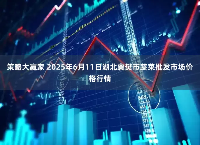 策略大赢家 2025年6月11日湖北襄樊市蔬菜批发市场价格行情